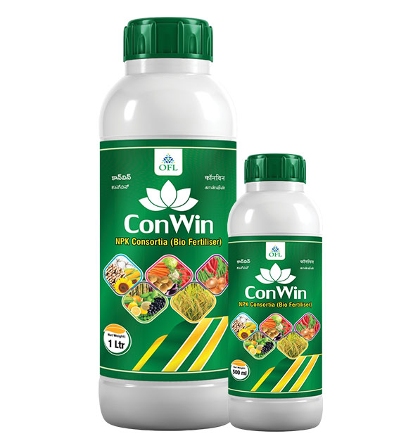 ConWin