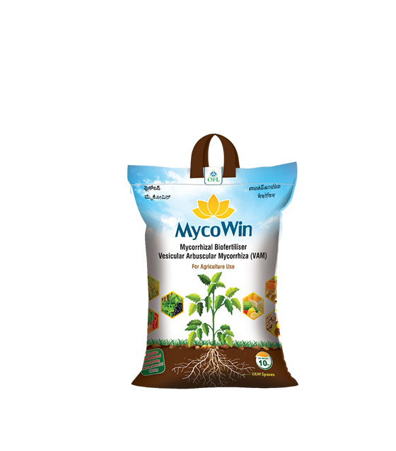 grow-win-plant