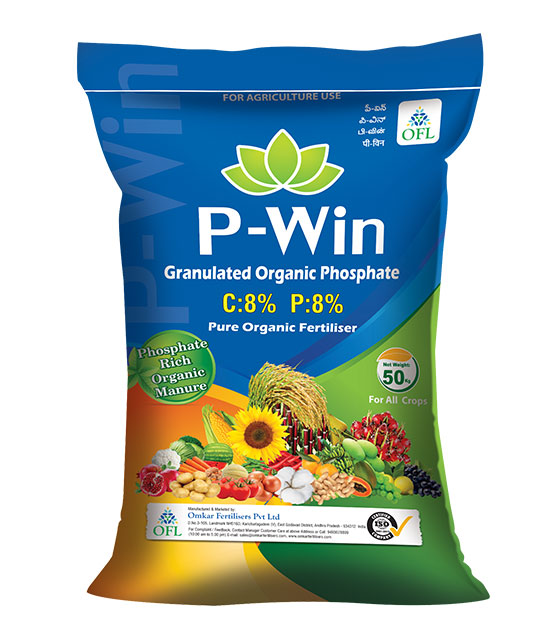 P-Win